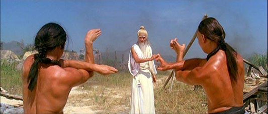 Clan Of The White Lotus A.K.A. Fists Of The White Lotus • 洪文定三破白蓮教 (1980)