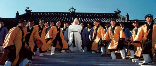 nan kung fu movie DVD Shaw Brothers martial arts film Hong Kong cinema