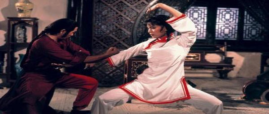 nan kung fu movie DVD Shaw Brothers martial arts film Hong Kong cinema