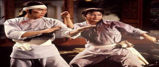 nan kung fu movie DVD Shaw Brothers martial arts film Hong Kong cinema