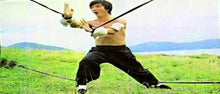"Duel Of The 7 Tigers" a.k.a. (Liu he qian shou) (1979) - Classic Kung Fu Movies