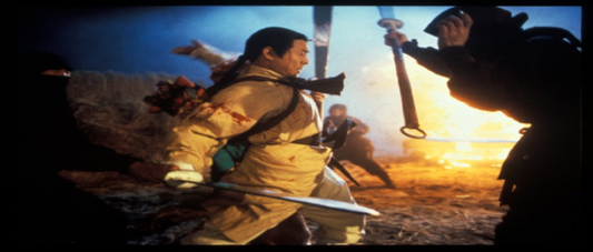 nan kung fu movie DVD Shaw Brothers martial arts film Hong Kong cinema