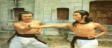 "7 Grandmasters" a.k.a. (Hu bao long she ying) (1978) - Classic Kung Fu Movies