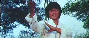 "7 Grandmasters" a.k.a. (Hu bao long she ying) (1978)
