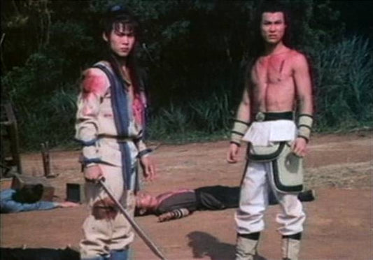 nan kung fu movie DVD Shaw Brothers martial arts film Hong Kong cinema