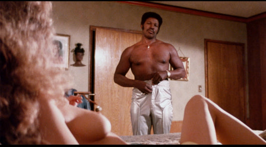 nan kung fu movie DVD Shaw Brothers martial arts film Hong Kong cinema