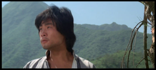 nan kung fu movie DVD Shaw Brothers martial arts film Hong Kong cinema