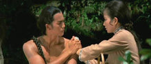 "Dynasty Of Blood" a.k.a. (The Blood Brothers) (1973) - Classic Kung Fu Movies