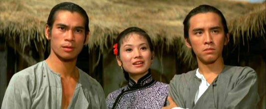 nan kung fu movie DVD Shaw Brothers martial arts film Hong Kong cinema