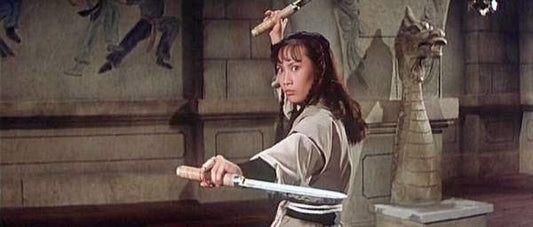 nan kung fu movie DVD Shaw Brothers martial arts film Hong Kong cinema