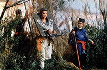 "Delightful Forest" a.k.a. (Outlaw Of The Forest) (1972) - Classic Kung Fu Movies