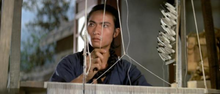 "Invincible One" a.k.a. (Disciples Of Shaolin) (1976) - Classic Kung Fu Movies