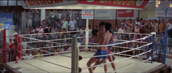 nan kung fu movie DVD Shaw Brothers martial arts film Hong Kong cinema