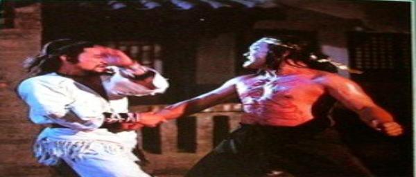 nan kung fu movie DVD Shaw Brothers martial arts film Hong Kong cinema