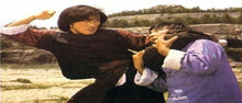 "Duel Of The 7 Tigers" a.k.a. (Liu he qian shou) (1979) - Classic Kung Fu Movies
