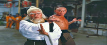 "Clan Of The White Lotus" a.k.a. (洪文定三破白莲教, Fist Of The White Lotus) (1980) - Classic Kung Fu Movies