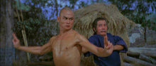 "Legendary Weapons of China" a.k.a. (Legendary Weapons Of Kung Fu) (1982) - Classic Kung Fu Movies