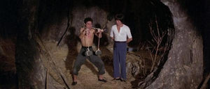 "Mad Monkey Kung Fu" (1979)