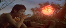 "Mad Monkey Kung Fu" (1979) - Classic Kung Fu Movies