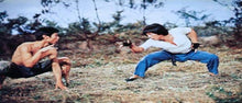 "Mad Monkey Kung Fu" (1979) - Classic Kung Fu Movies