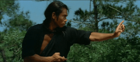 nan kung fu movie DVD Shaw Brothers martial arts film Hong Kong cinema