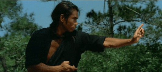 nan kung fu movie DVD Shaw Brothers martial arts film Hong Kong cinema