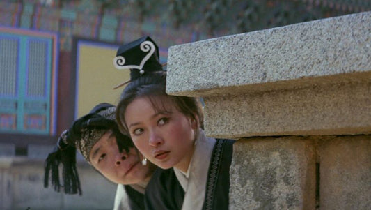 nan kung fu movie DVD Shaw Brothers martial arts film Hong Kong cinema