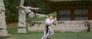 "Secret Rivals" a.k.a. (Huo, le roi du kung fu) (1976)