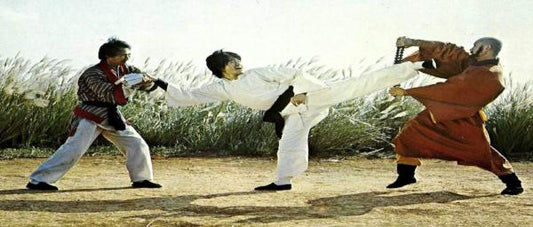 nan kung fu movie DVD Shaw Brothers martial arts film Hong Kong cinema