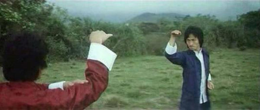 nan kung fu movie DVD Shaw Brothers martial arts film Hong Kong cinema