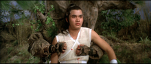 "Chinese Super Ninjas" a.k.a. (Five Elements Ninjas) (1982) - Classic Kung Fu Movies