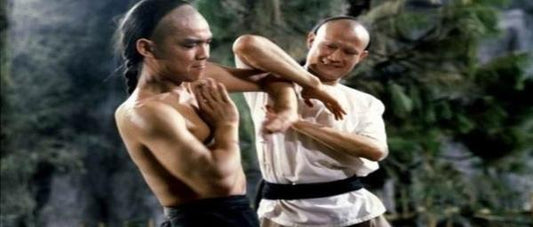nan kung fu movie DVD Shaw Brothers martial arts film Hong Kong cinema
