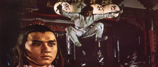 nan kung fu movie DVD Shaw Brothers martial arts film Hong Kong cinema