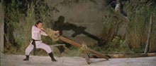 "Shaolin Deadly Mantis" a.k.a. (Tang lang, Deadly Mantis) (1978) - Classic Kung Fu Movies