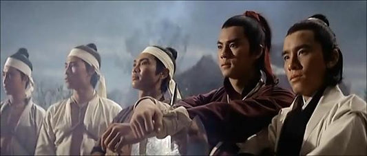 nan kung fu movie DVD Shaw Brothers martial arts film Hong Kong cinema