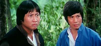 nan kung fu movie DVD Shaw Brothers martial arts film Hong Kong cinema