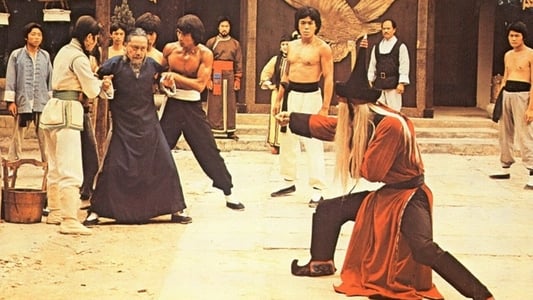 nan kung fu movie DVD Shaw Brothers martial arts film Hong Kong cinema