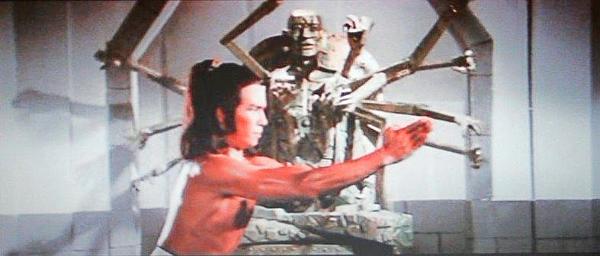 nan kung fu movie DVD Shaw Brothers martial arts film Hong Kong cinema