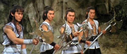 nan kung fu movie DVD Shaw Brothers martial arts film Hong Kong cinema