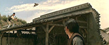 "The Flying Guillotine" a.k.a. (Huet Dik Ji) (1975) - Classic Kung Fu Movies