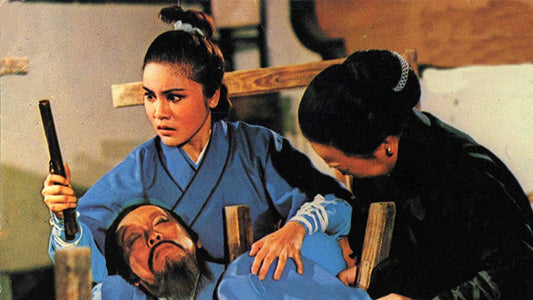 nan kung fu movie DVD Shaw Brothers martial arts film Hong Kong cinema