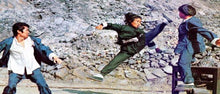 "The Hot, The Cool And The Vicious" a.k.a. (Nan Quan Bei Tui Zhan Yan Wang) (1976) - Classic Kung Fu Movies