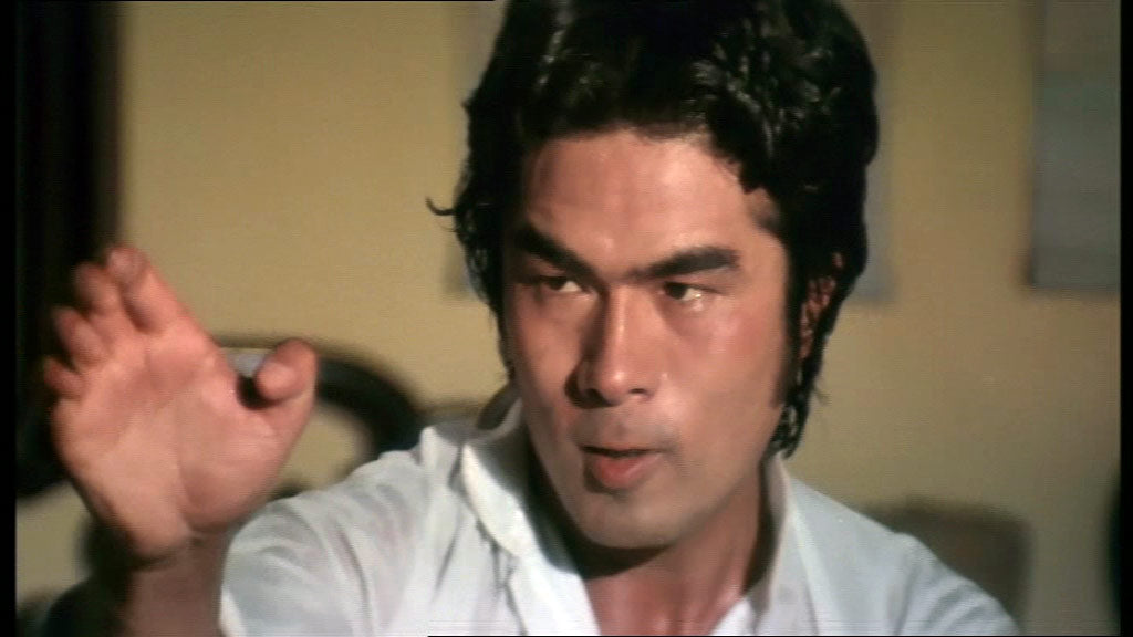 nan kung fu movie DVD Shaw Brothers martial arts film Hong Kong cinema