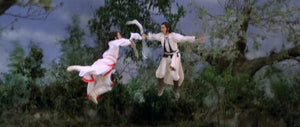 "Legend Of The Fox" a.k.a. (Fei hu wai chuan) (1980)