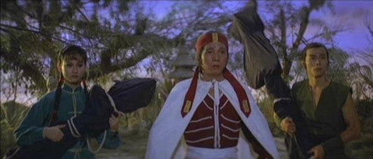 nan kung fu movie DVD Shaw Brothers martial arts film Hong Kong cinema