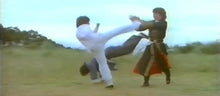 "Secret Rivals 3: Northern Kicks, Southern Fists" a.k.a. (Xin nan quan bei tui) (1981)