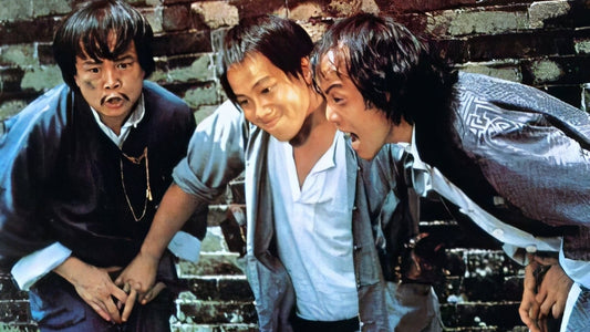 nan kung fu movie DVD Shaw Brothers martial arts film Hong Kong cinema