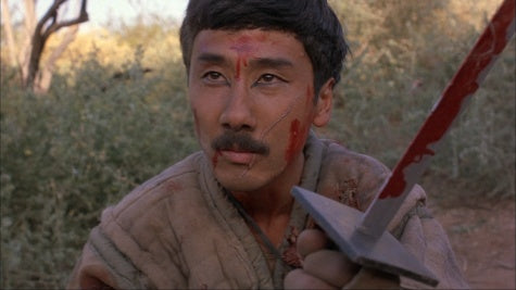 nan kung fu movie DVD Shaw Brothers martial arts film Hong Kong cinema