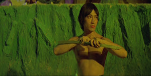 "Heaven And Hell" a.k.a. (Shaolin Hell Gate) (1979)
