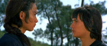 "Shaolin Martial Arts" aka (Hong quan yu yong chun) (1974) - Classic Kung Fu Movies